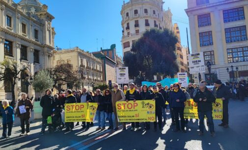 Más de 10.000 personas asistieron a la manifestación en Valencia en contra de la implantación desmesurada de las plantas fotovoltaicas
