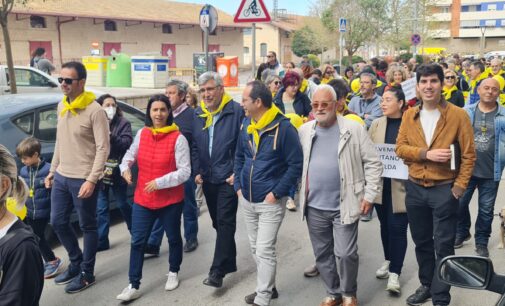 Manifiesto del PSOE de Villena en apoyo a la manifestación contra las  plantas fotovoltaicas