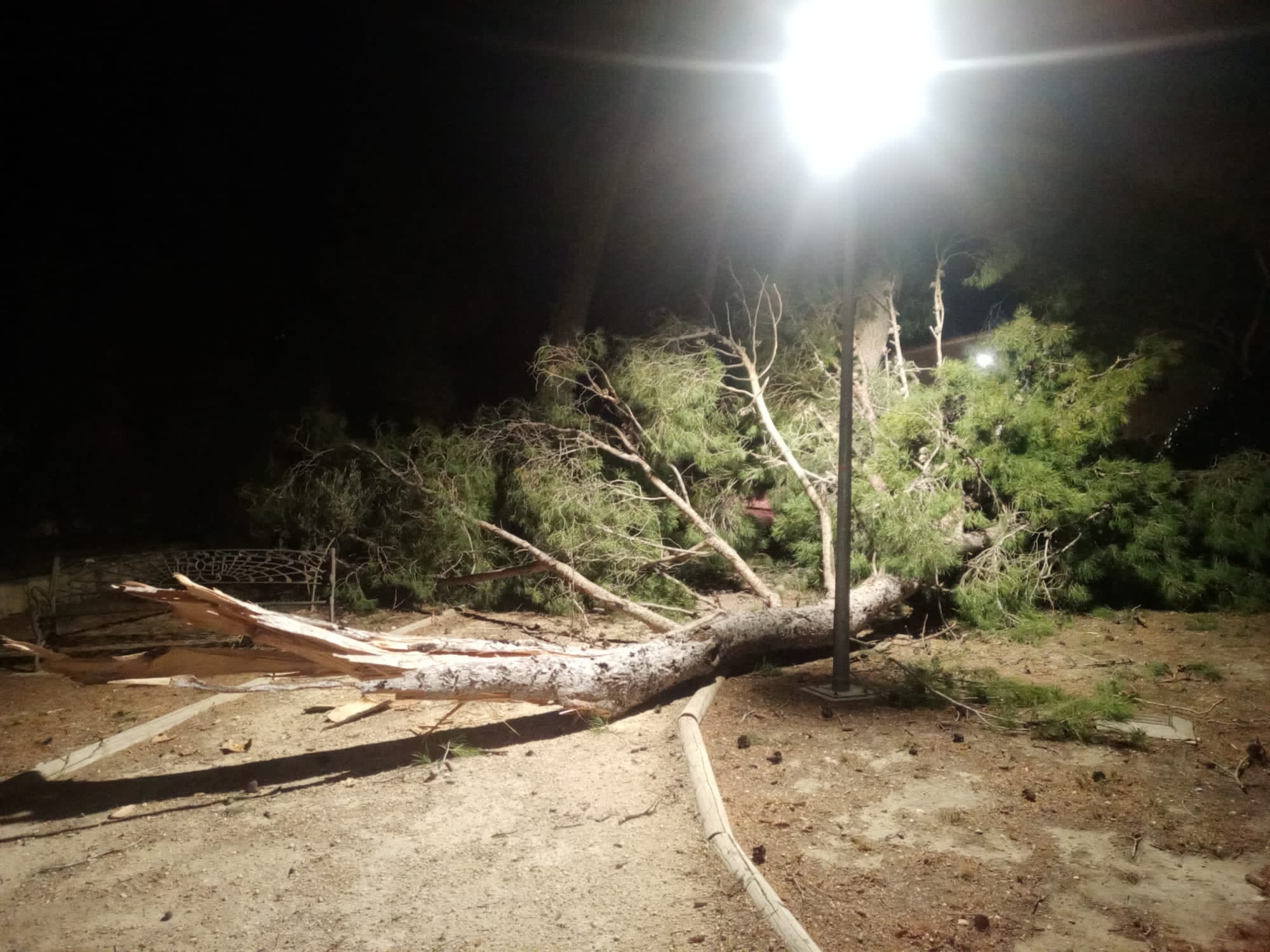 Retiran más de diez árboles de la pinada de Las Virtudes devastados por un tornado