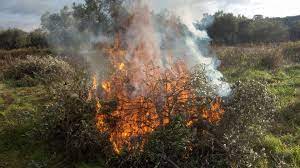 El Consell reduce la distancia para autorizar quemas agrícolas cercanas a zonas forestales