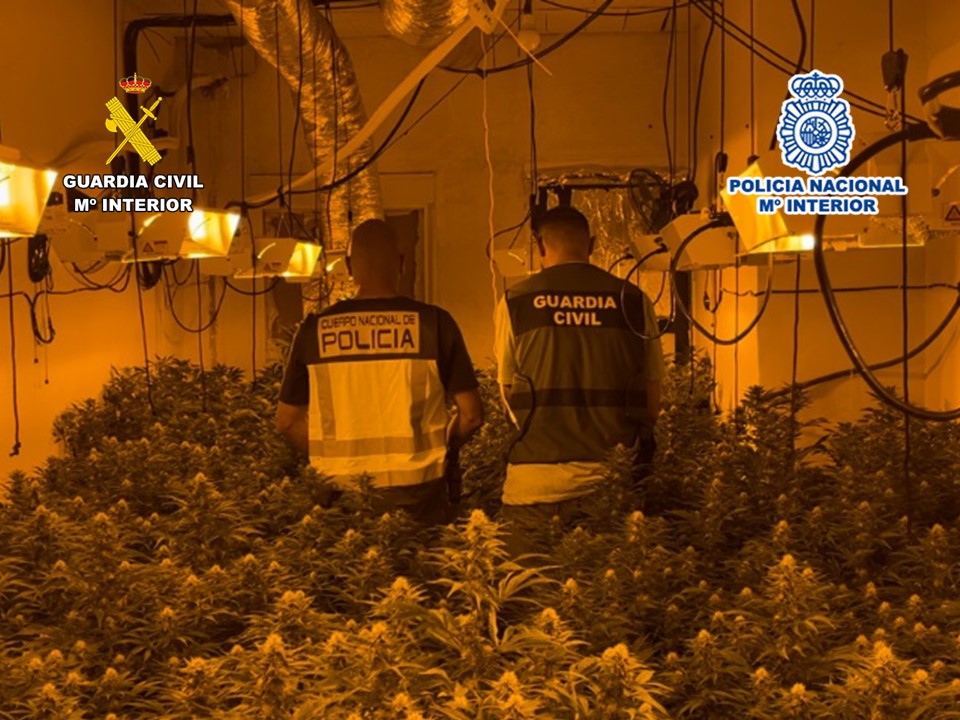 Desmantelan un grupo criminal ubicado en Villena dedicado al tráfico de drogas y robos en Alicante, Murcia y Albacete