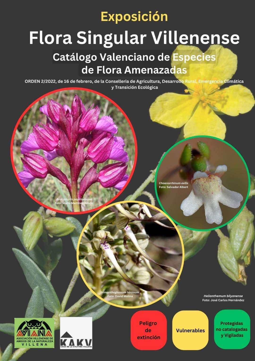 Aviana organiza una charla  a cargo de María Ángeles Alonso y una exposición sobre la flora singular villenense