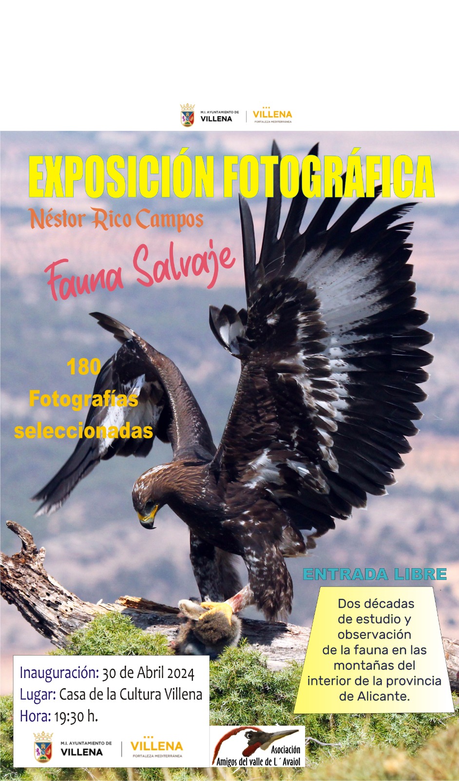 180 fotografías mostrarán en Villena la fauna de las montañas del interior de la provincia de Alicante